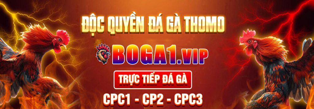 Boga1.vip Nhà cái đá gà uy tín